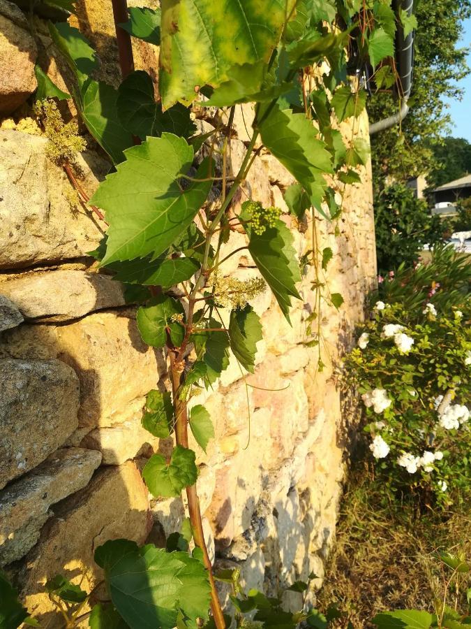 O Reve De Gabriel Bed & Breakfast Saint-Amand-de-Coly Dış mekan fotoğraf