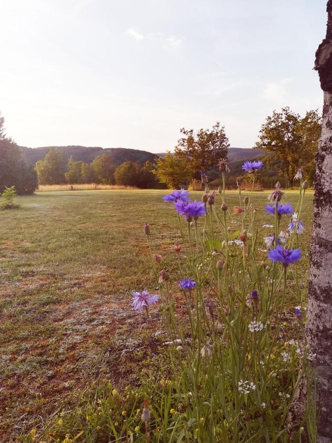 O Reve De Gabriel Bed & Breakfast Saint-Amand-de-Coly Dış mekan fotoğraf