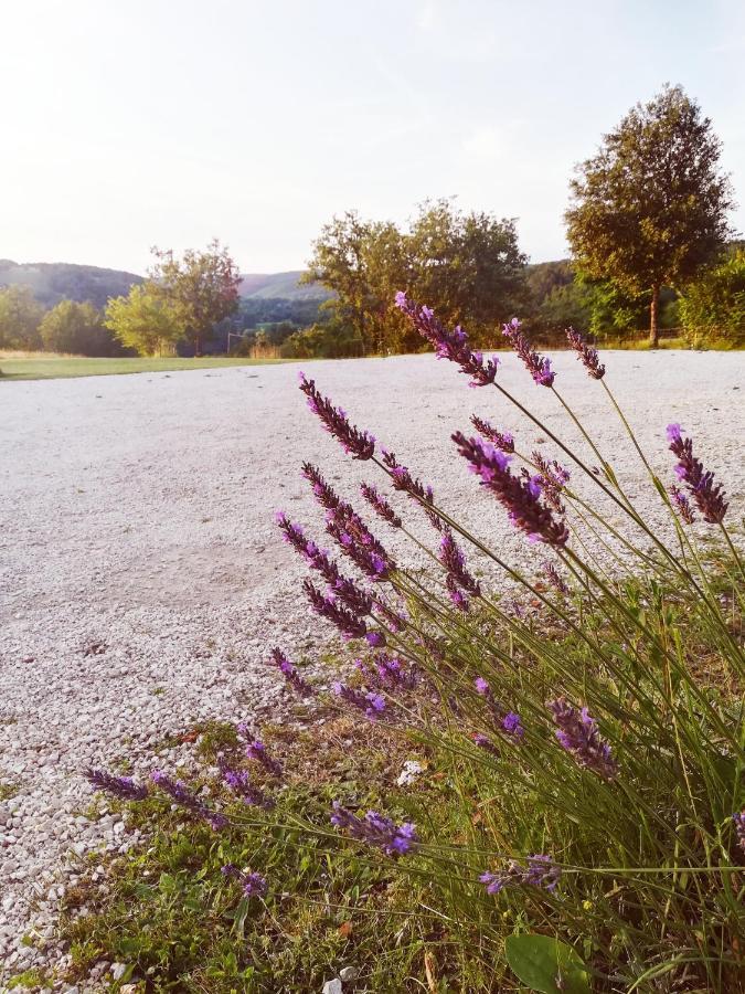 O Reve De Gabriel Bed & Breakfast Saint-Amand-de-Coly Dış mekan fotoğraf